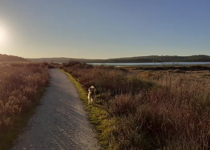 Casa Da Bica D'agua * Óbidos